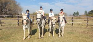 Horse Riding Lessons At Golden Trot Equestrian Centre