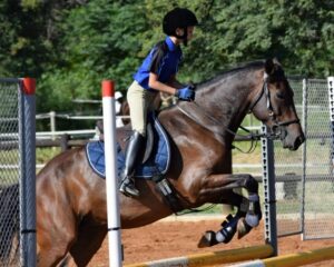 Horse Riding Lessons At Golden Trot Equestrian Centre