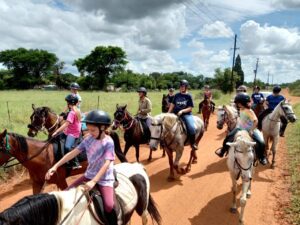 Horse Riding Lessons At Golden Trot Equestrian Centre