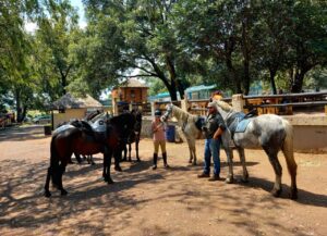 Outrides At Golden Trot Equestrian Centre