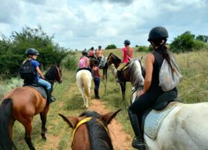 Outrides At Golden Trot Equestrian Centre