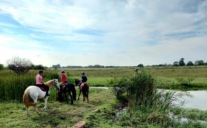 Outrides At Golden Trot Equestrian Centre