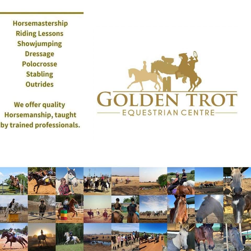 Pony Parties at Golden Trot Equestrian Centre