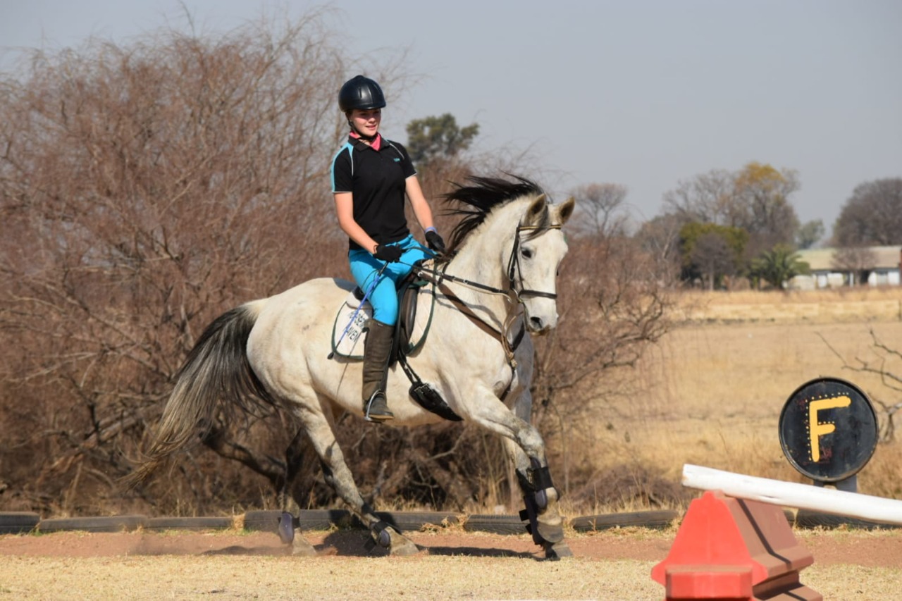 Show Half Lease Package at Golden Trot Equestrian Centre