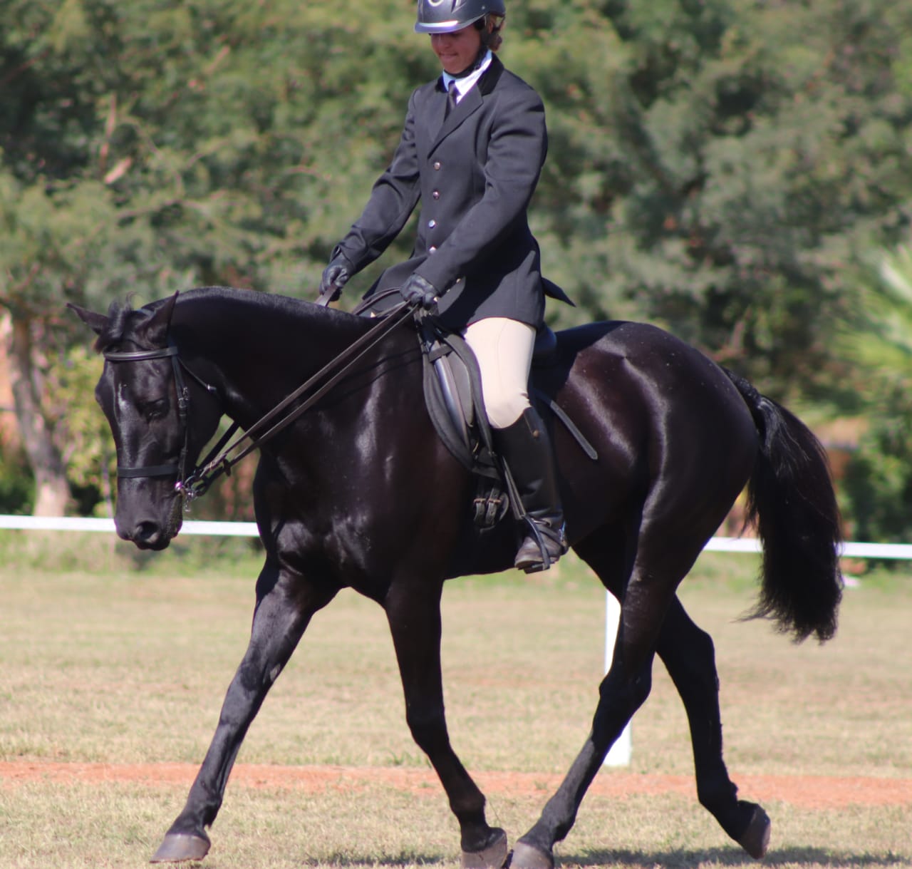 Work Ride at Golden Trot Equestrian Centre