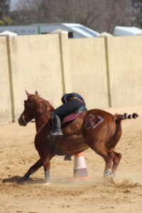 Work Rides At Golden Trot Equestrian Centre